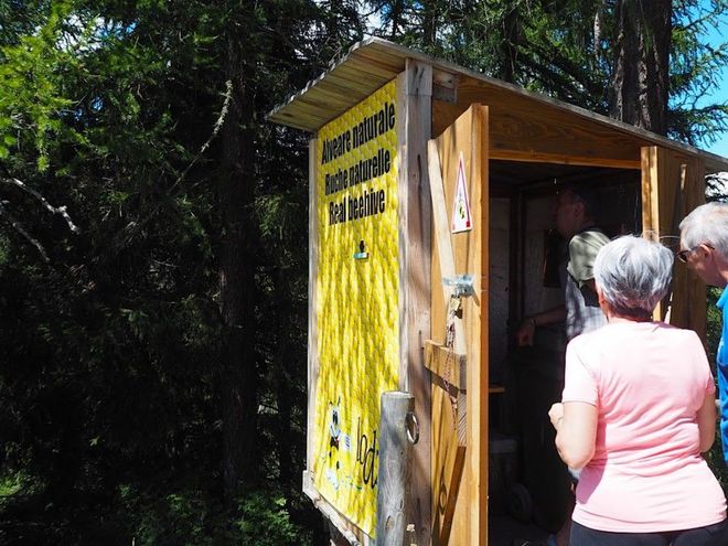 人口100人に満たない小さな山間の村、アルプスを歩きつくしたプロたちが惚れ込むイタリアの秘密の避暑地【ブーツの国の街角で vol.12「シャモワ」イタリア／ヴァッレ・ダオスタ州】の画像018