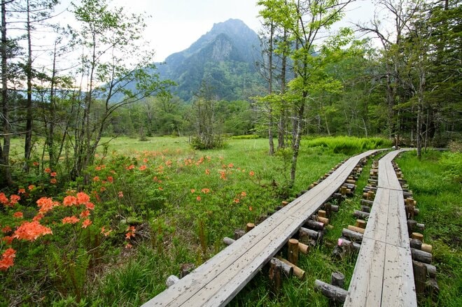 やっぱり “上高地” は泊まりの旅がいい！  明神・徳沢をめぐる『上高地さんぽ』  足を延ばしたからこそ味わえる「絶品グルメ＆優雅な山小屋時間」の画像018