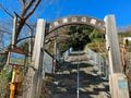 “駅チカ”お手軽ハイキング【360度の大展望】聳える富士山と輝く湘南の海！ 菜の花は「今が見頃」吾妻山へ！ 神奈川県・2024年の画像014