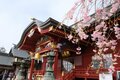 ＜4月末の御岳山レポート＞都心からすぐ。苔むした岩が美しい新緑のロックガーデン～宿坊ランチで異空間へ小トリップ！の画像011