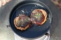 世界初「お好み焼き」や「いぶりがっこ」の缶詰って！？  ”グルキャン”で開けたい珍品「ネタ缶詰」３選〈前編〉【缶詰博士の缶たん”CAN”P料理 vol.12】の画像003