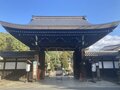 春の陽気に誘われて、伏見港公園から観月橋駅まで宇治川河川敷をテクテク歩き【京阪電鉄宇治線（その2）関西鉄道路線周辺曼荼羅 vol.32】の画像009