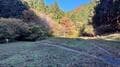 紅葉でにぎわう「高尾山エリア」ですれ違い「ゼロ」の穴場？  静かな「小下沢林道」からアクセス！ 「堂所山」登山レポの画像008