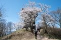 【こんな贅沢な山は他にない！】お花見ハイキングの名所「光城山」のお出かけ前に押さえるべきポイント解説の画像011