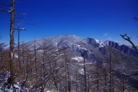 【山頂まで片道わずか1時間の雪山登山】下山後即温泉もセットで楽しめる絶景雪稜歩き・後編＜高峯山＞【今日も山旅気分 vol.38】