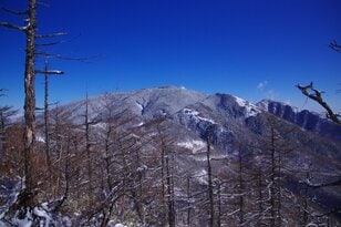 【山頂まで片道わずか1時間の雪山登山】下山後即温泉もセットで楽しめる絶景雪稜歩き・後編＜高峯山＞【今日も山旅気分 vol.38】