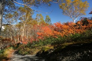 【長野県・八方アルペンライン】紅葉に抱かれた北アルプスの山々と白馬の“絶景”撮影スポット「八方池」で “珠玉の一枚” を撮る！