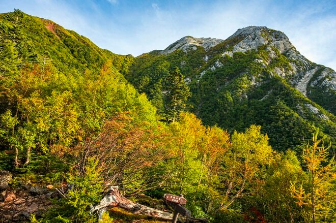 【登山】ここ数年で一番の美しさ「南アルプスの貴公子と女王の山岳紅葉」 日本の1-2-3位の高峰を望む  南アルプス・2025年の画像004