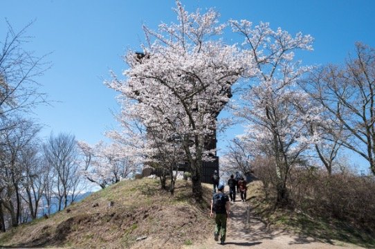 【こんな贅沢な山は他にない！】お花見ハイキングの名所「光城山」のお出かけ前に押さえるべきポイント解説の画像011