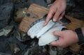 野生食材採集のルールと知識の身につけ方【無人地帯の遊び方 vol.5】の画像002