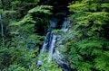 たった2kmに詰まった仁淀ブルーの神秘「世界よ、これがニッポンの川だ！」＜高知県・安居川 後編＞【ユーコンカワイの股旅リバログ vol.7】の画像006