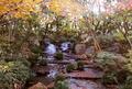 紅葉シーズンは一層の見ごたえあり！  世界遺産「姫路城」と「好古園」 澄みわたる秋空＆日没後はライトアップ！「絶景満喫の1日」の画像004