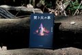 「焚き火とアウトドアが自分らしい生き方を教えてくれた」焚き火マイスター・猪野正哉さん＜後編＞の画像008