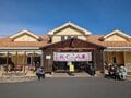 透き通るスープに“罪悪感”なし！ 1日1杯を食す「喜多方・白河・佐野」ラーメン＆絶景スキー場【星野リゾート　ネコマ マウンテン】スノートリップの画像003