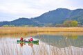 「水の上から」優雅にお花見！  川下りシーズンイン前の練習にも最適な桜の名所＜近江八幡水郷めぐり 前編＞【ユーコンカワイの股旅リバログ vol.29】の画像004
