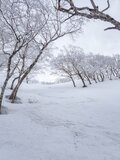 【スキーツーリングの世界】日本一長い日高山脈をスキーで滑り抜ける！ 「南日高」主稜線の長く過酷な一日  北海道・2022年の画像014