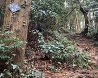意味が分かると怖い「低山の登山道」写真! 「ナメすぎNG」迷いやすい「不明瞭&荒れ放題」ルート「5つの落とし穴」レポート