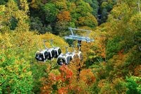 【2024年10月 第4週】今週末の紅葉の見ごろは？  名所＆人気スポットの最新情報をお届け「WEEKLY紅葉ニュース」