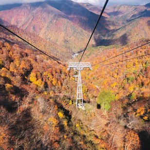 今週末の紅葉見るならどこ？　名所＆人気スポットから最新情報をお届け「WEEKLY紅葉ニュース」【2023年11月第1週】