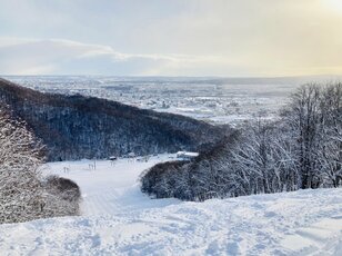 世界でもレアな絶景！  北海道・札幌から車で30分「まさかの夜景を楽しめる」スキー場3選