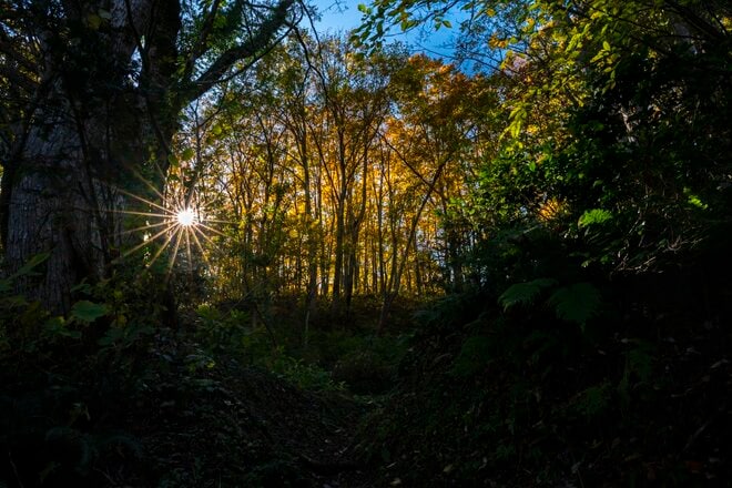 【登山】紅葉の当たり年！ 「白池に映る秋の彩りと山々の絶景を楽しむ、戸倉山の古道歩き」 “塩の道”   新潟県・2025年の画像004