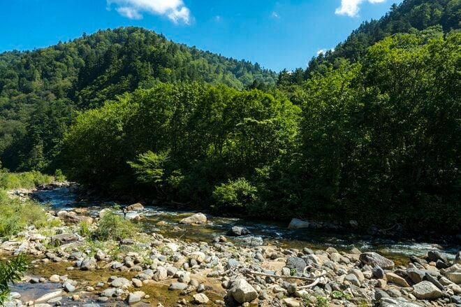 【渓流釣り】シーズンラストスパート！ 太公望のメッカ「奥只見湖（銀山湖）」から遡上する大物狙い「果たして釣果は……」 2022年 新潟県・福島県の画像004