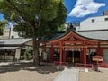 御霊はんで美肌について祈るはずが「おみくじ」で老後の貯えの大切さを思い知る【関西おみくじジャーニー vol.17「御霊神社」／大阪市中央区】の画像005