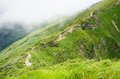 まだまだ夏は続く！ もはやアウトドアには欠かせない【ハイコントラストレンズ】サングラスで視界はいつでも鮮やかの画像004