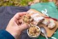 「アウトドアで温めるだけでウマい！」＜ウクライナ料理＞のフルコース缶詰セットとは？【缶詰博士の缶たん”CAN”P料理 vol.23】の画像005