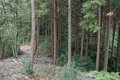 NHK大河『どうする家康』が100倍面白くなる！ 「徳川家康」父祖の地に残る「松平城」を歩く＜後編＞（奥三河・松平郷／愛知県豊田市）【家康ゆかりの山城を攻める vol.2】の画像001