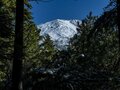 冬がはじまるよ！ 「雌阿寒岳」神秘の原生林を抜けて登った先に待つ絶景とは（2021年10月24日）＜北海道＞の画像006