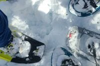 静かな「冬の森」の魅力に包まれる…初めての「スノーシュー」体験！ ノルンみなかみスキー場から吾妻耶山へ、ガイドツアー参加レポ【群馬県みなかみ町】