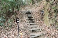 NHK大河『どうする家康』が100倍面白くなる！ 巨岩の要塞「大給城」に敷設された「とんでもない遺構」を検分！ ＜前編＞（奥三河／愛知県豊田市）【家康ゆかりの山城を攻める vol.3】