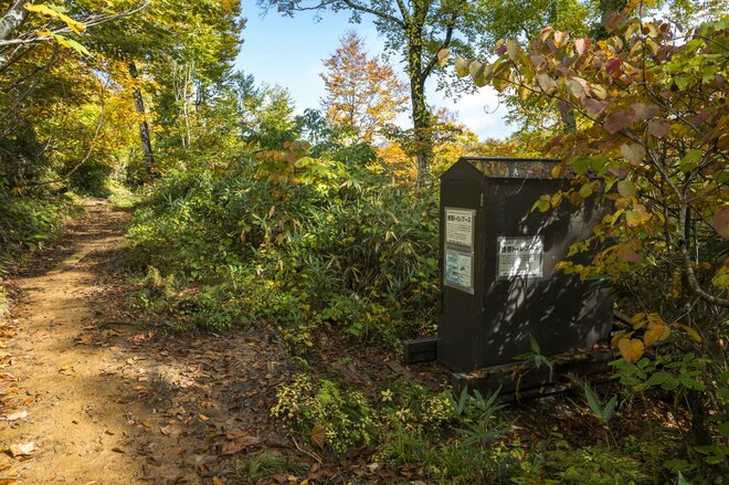 【登山】紅葉の当たり年！「色づきはこれからピークへ」  百名山 “雨飾山” の頬を赤らめる女神の横顔　長野県／新潟県 2025年の画像006