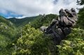 【首都圏近郊おすすめルート】金峰山へと続く幻の古道「御嶽道」が想像以上に素晴らしい！  実地踏査レポートの画像008