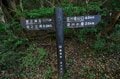 【世界自然遺産・屋久島】九州最高峰の「宮之浦岳」へ！  日本最南端の高層湿原「花之江河」を抜け、洋上のアルプスに臨むの画像007