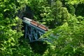 『黒部峡谷トロッコ電車』で新緑のトンネルを潜り抜ける快感は「この時期だけ」の特別空間【富山県黒部市】の画像004