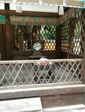 「美麗祈願」で有名な河合神社でおみくじを引き、鴨長明に涙する【関西おみくじジャーニー vol.13「河合神社」／京都市左京区下鴨神社】の画像001