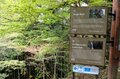＜4月末の御岳山レポート＞都心からすぐ。苔むした岩が美しい新緑のロックガーデン～宿坊ランチで異空間へ小トリップ！の画像013
