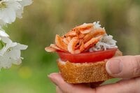 缶詰博士の缶たん”CAN”P料理