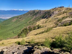 標高2,000ｍ超の天空ハイキング！  日本百名山「美ヶ原」 約3時間半で周回「起伏緩やか＆高原歩き」絶景コース