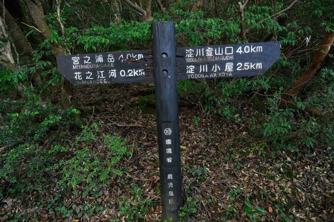 【世界自然遺産・屋久島】九州最高峰の「宮之浦岳」へ！  日本最南端の高層湿原「花之江河」を抜け、洋上のアルプスに臨むの画像007