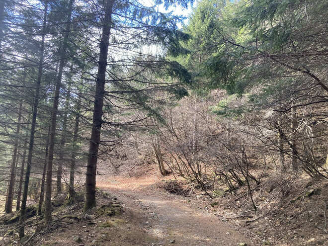 高さだけでなく美しさも日本一！  ほどよく雪化粧する時季に行きたい、冠雪した「富士山」の絶景が見られる山・5選の画像002