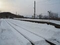 「えっ！？　汽車の窓からタンチョウが！」鉄道で楽しむ冬の旅【北海道・厳冬の釧路湿原レポート（4）SL冬の湿原号】の画像003