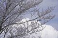 冬が帰ってきた！？春を目前に待望の積雪【谷川岳天神平スキー場 by 星野リゾート・群馬県】まだまだスキー＆スノボが楽しい季節は続くの画像002