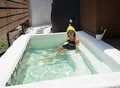 サウナ大好き女性ライター「特殊サウナ」体験レポート！  古代中東由来「アースバッグサウナ」と「屋外水風呂＆絶景」でととのうの画像014