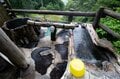 【山形の名湯・白布温泉と新高湯温泉】”開湯700年の歴史”  上杉家ゆかりの温泉旅館「東屋」ほか、大人気「米沢ラーメン」が食せる名店も！の画像003