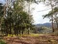 眺望抜群！ 難攻不落の山城跡「荒木城跡」急傾斜でも整備OK！  35分の低山ハイキング＆その先 “謎だらけ？” の「燈明寺」とは「実踏レポ」【兵庫県丹波篠山市】の画像014