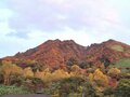 【2024年10月 第4週】今週末の紅葉の見ごろは？  名所＆人気スポットの最新情報をお届け「WEEKLY紅葉ニュース」の画像004