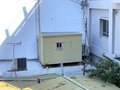リニューアルされた今では懐かしい「那覇市第一牧志公設市場」風景……「マチグヮーは島猫ラビリンス」【琉球島猫百景 アーカイブ #12／沖縄県那覇市】の画像003